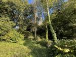IMG_1658.JPEG